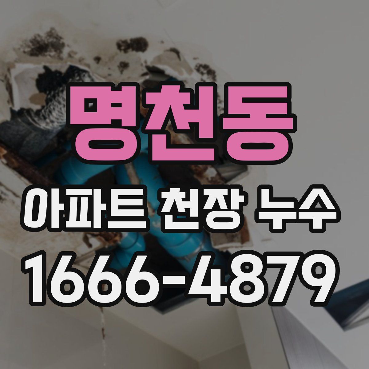 명천동 아파트 천장 누수
