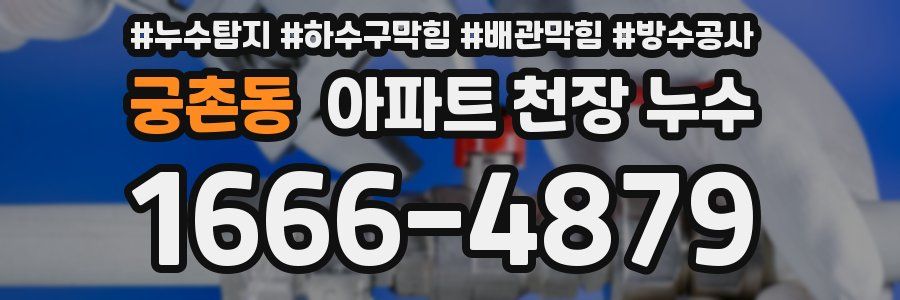 궁촌동 아파트 천장 누수