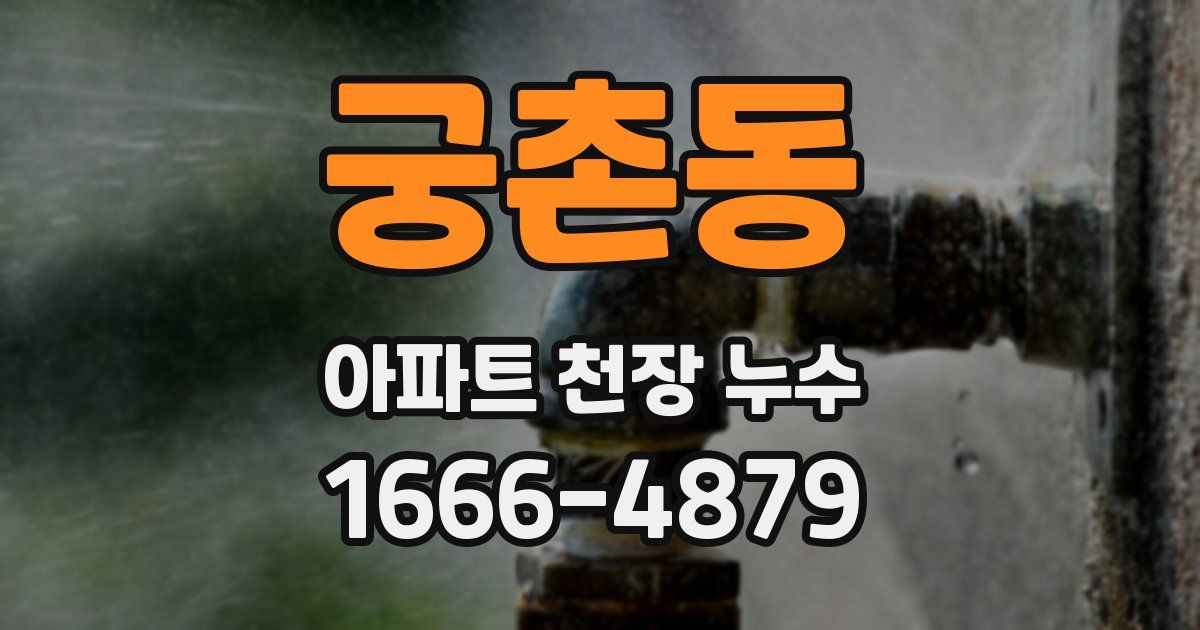 궁촌동 아파트 천장 누수