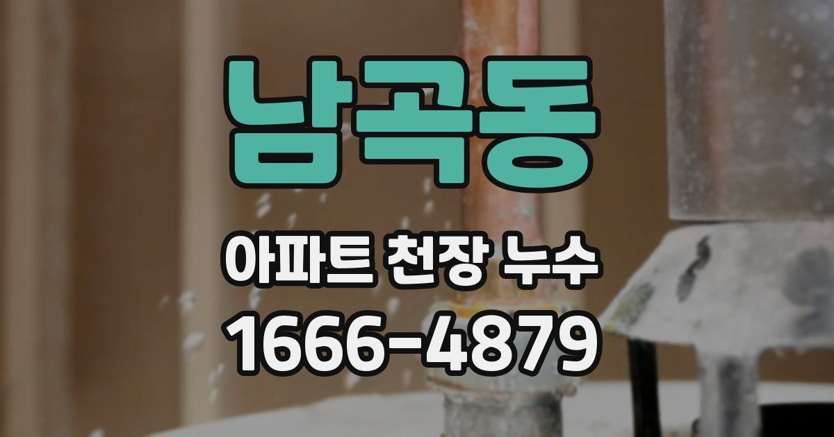 남곡동 아파트 천장 누수