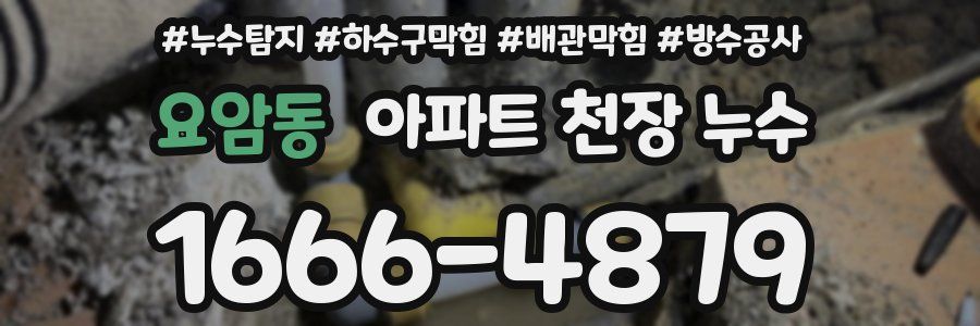 요암동 아파트 천장 누수