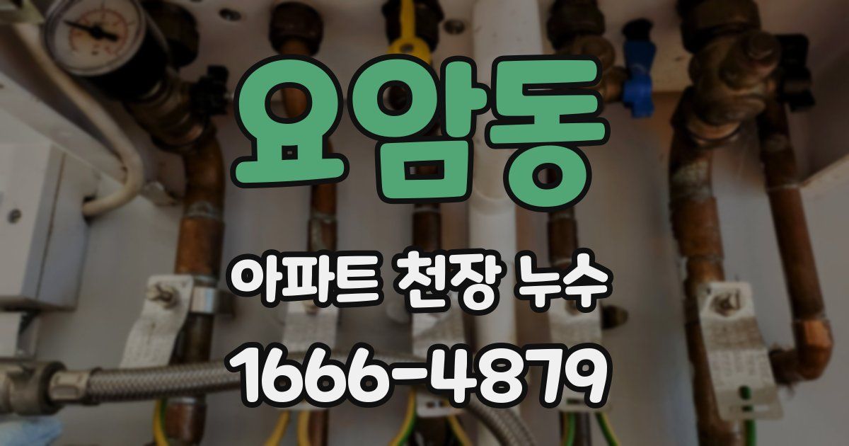 요암동 아파트 천장 누수