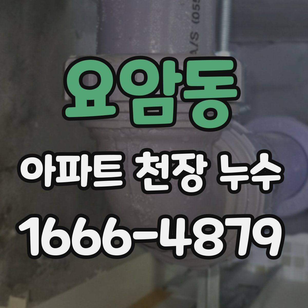 요암동 아파트 천장 누수