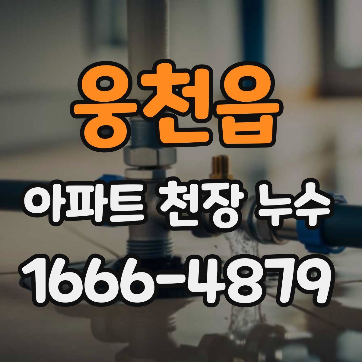 웅천읍 아파트 천장 누수