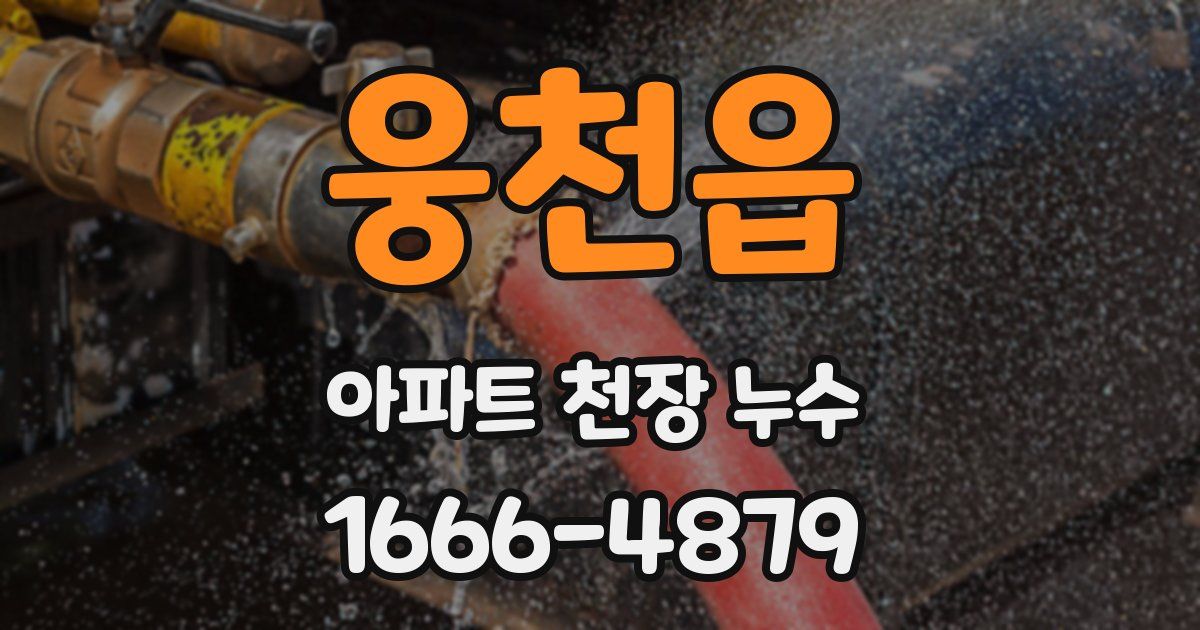 웅천읍 아파트 천장 누수