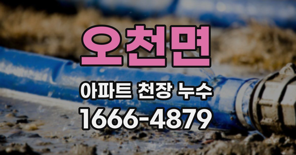 오천면 아파트 천장 누수