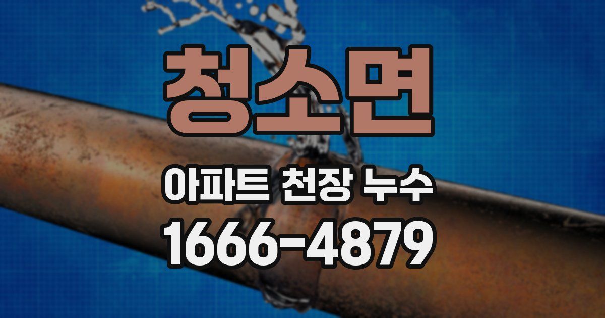 청소면 아파트 천장 누수