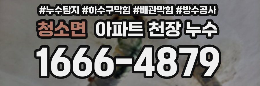 청소면 아파트 천장 누수
