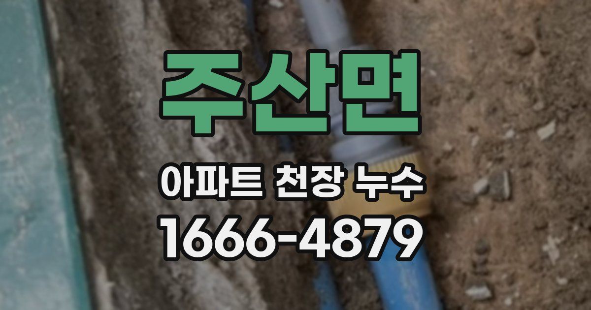 주산면 아파트 천장 누수