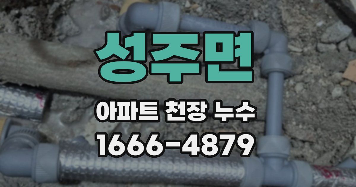 성주면 아파트 천장 누수