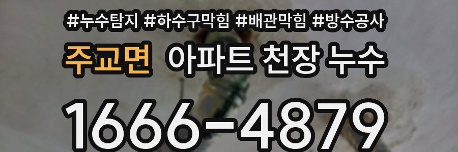 주교면 아파트 천장 누수