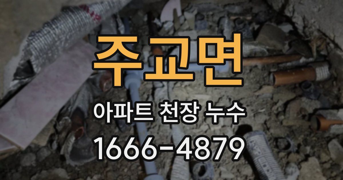 주교면 아파트 천장 누수