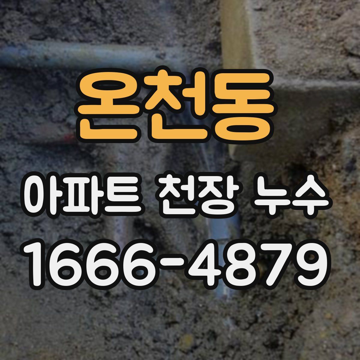 온천동 아파트 천장 누수