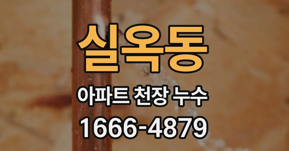 실옥동 아파트 천장 누수