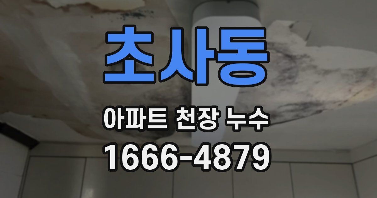 초사동 아파트 천장 누수