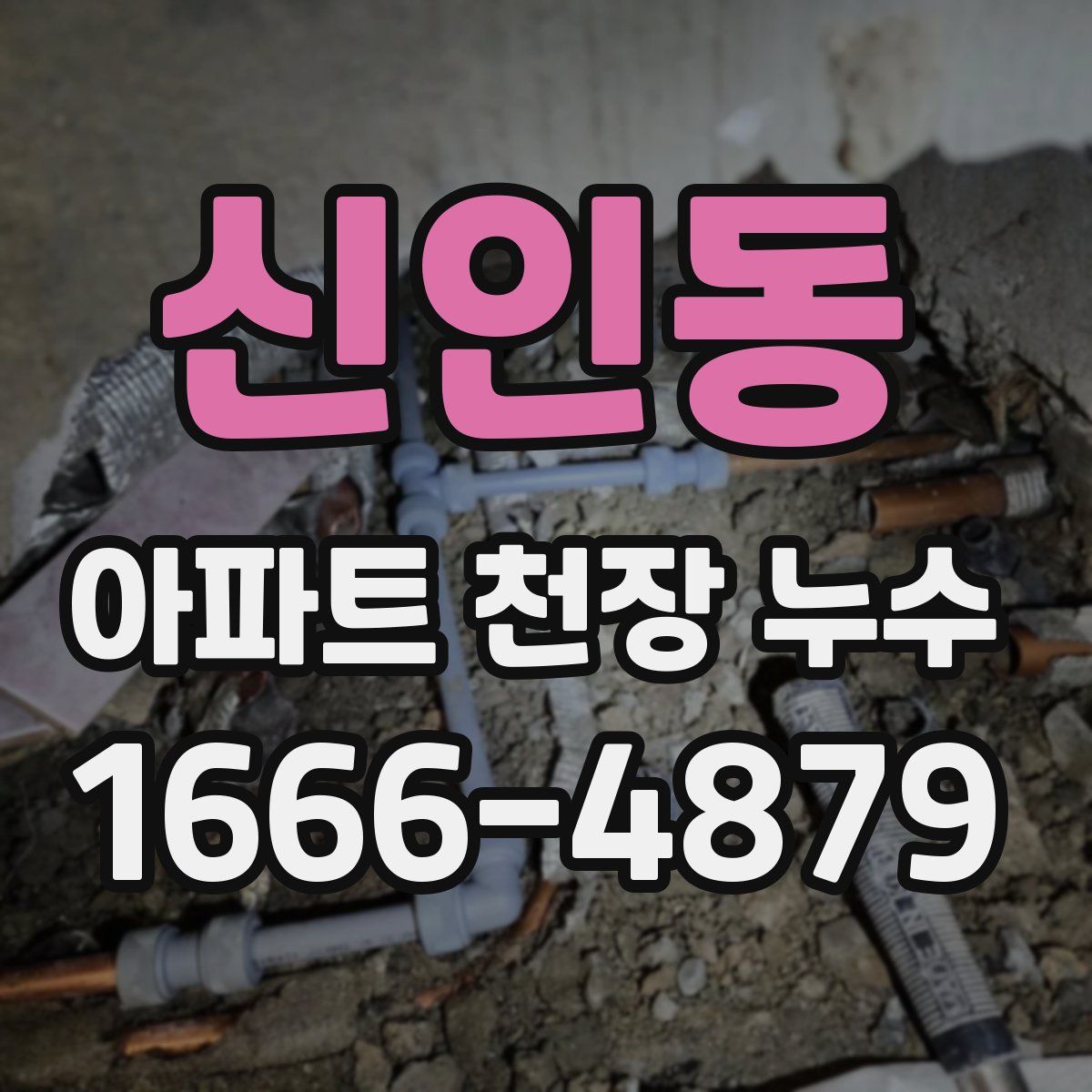 신인동 아파트 천장 누수