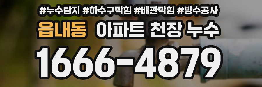 읍내동 아파트 천장 누수