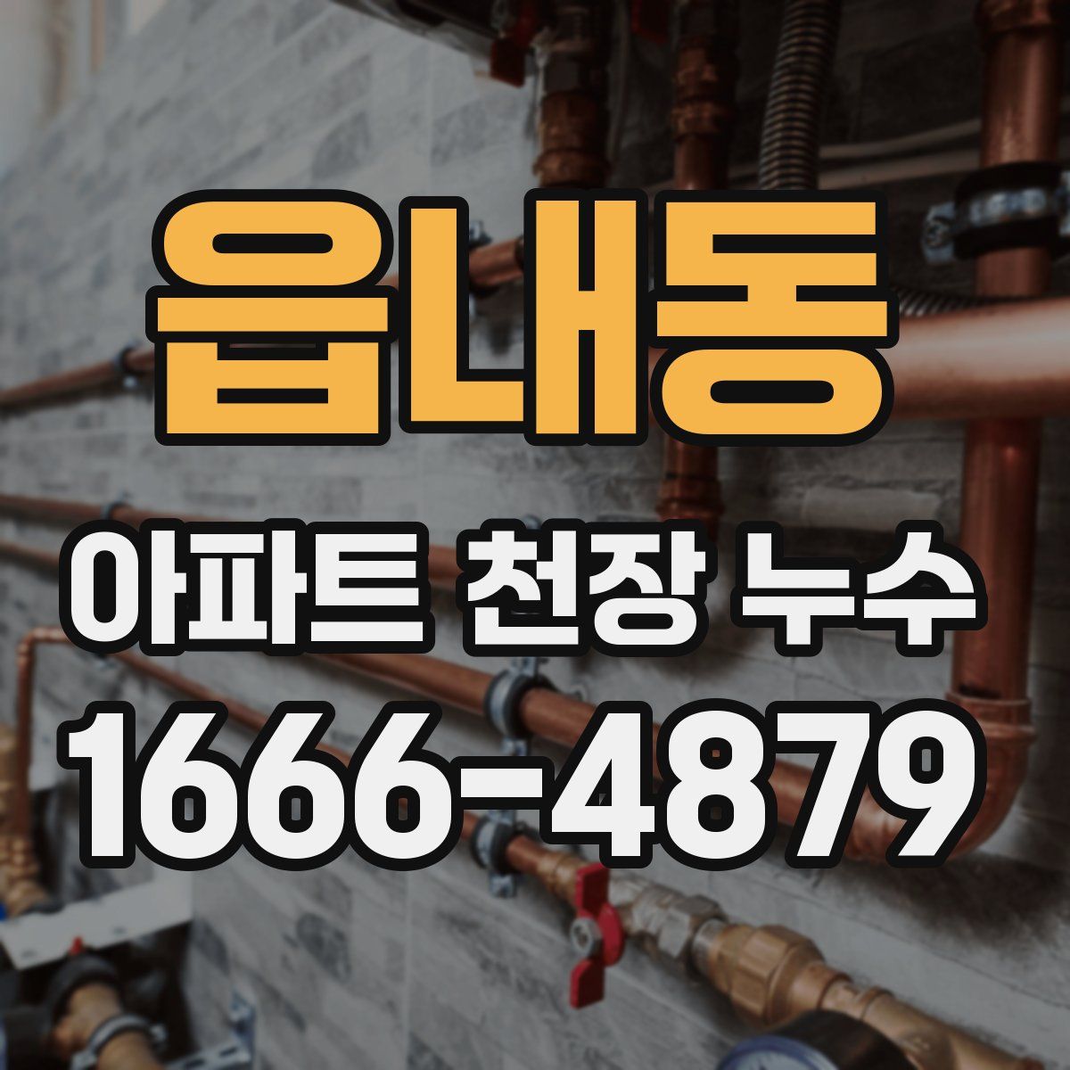 읍내동 아파트 천장 누수