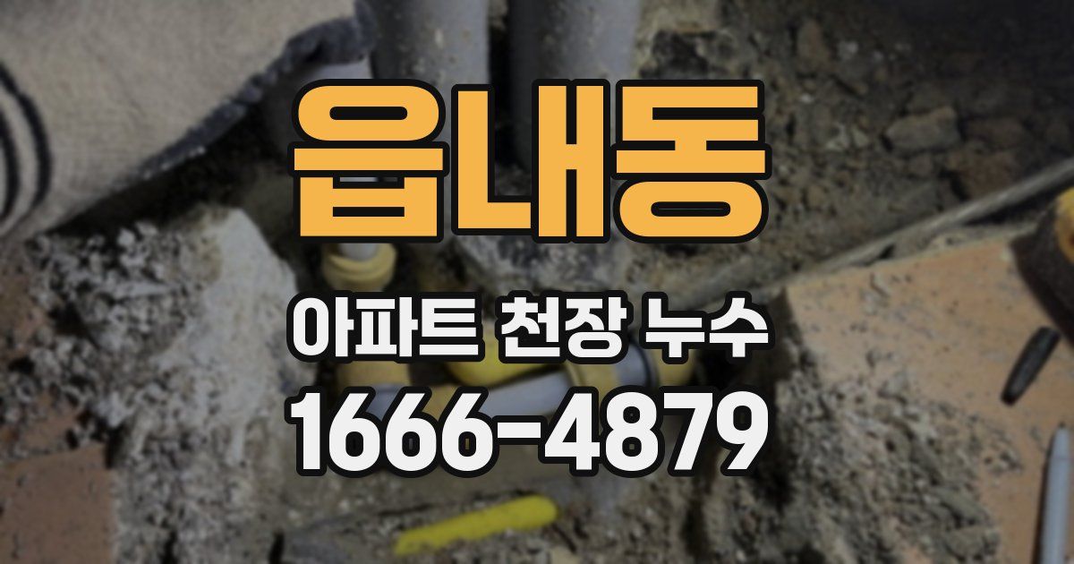 읍내동 아파트 천장 누수