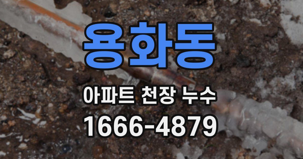 용화동 아파트 천장 누수