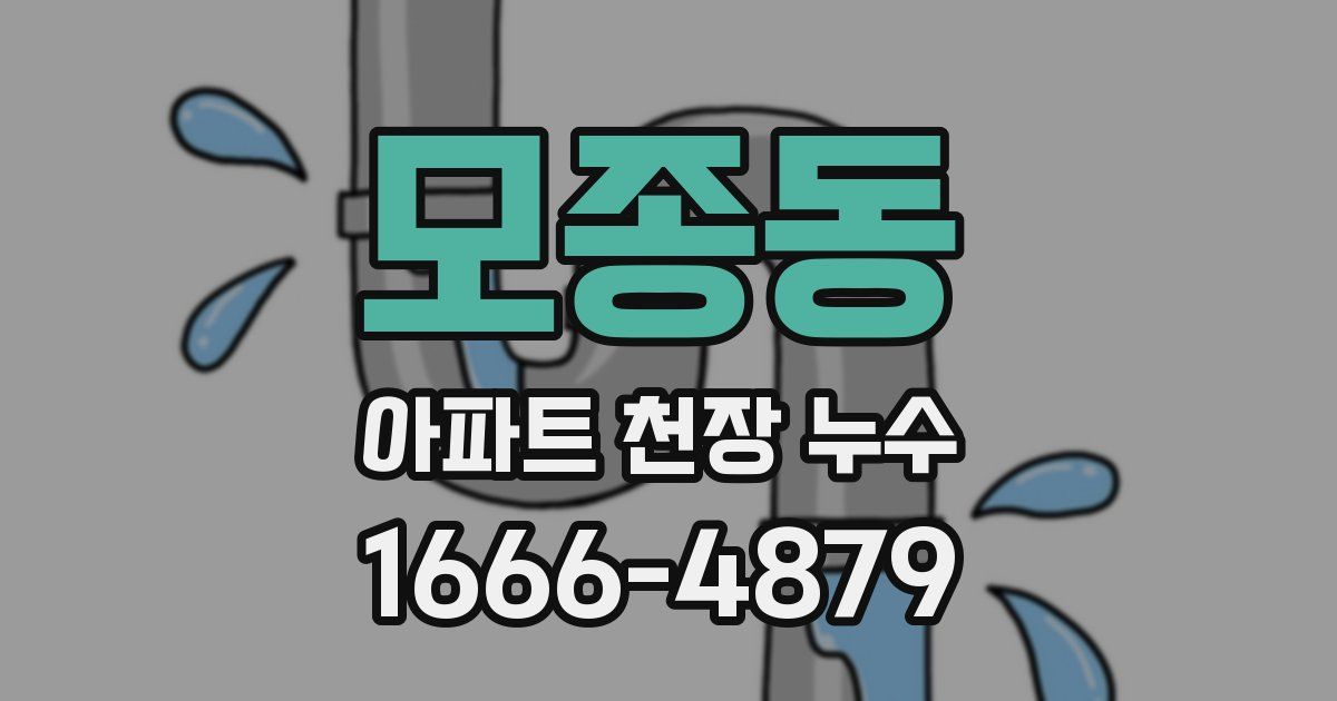 모종동 아파트 천장 누수