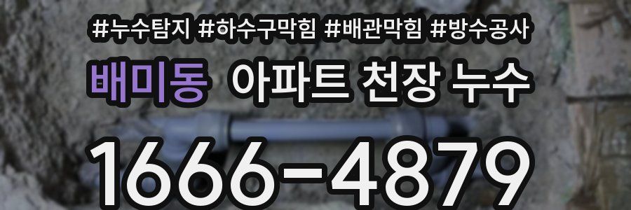 배미동 아파트 천장 누수