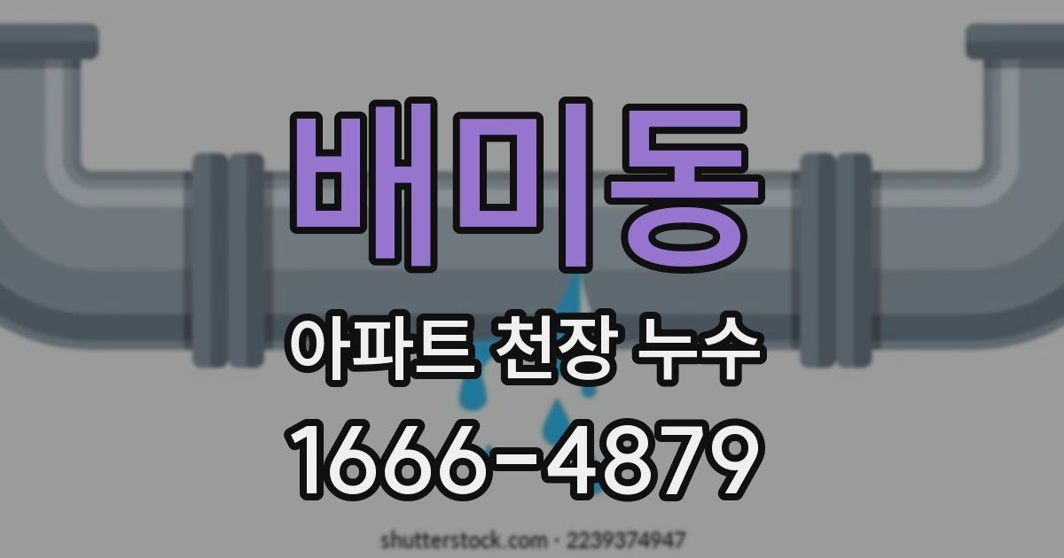 배미동 아파트 천장 누수