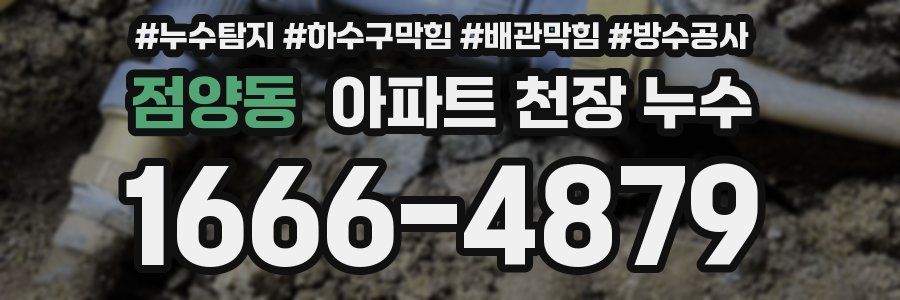 점양동 아파트 천장 누수