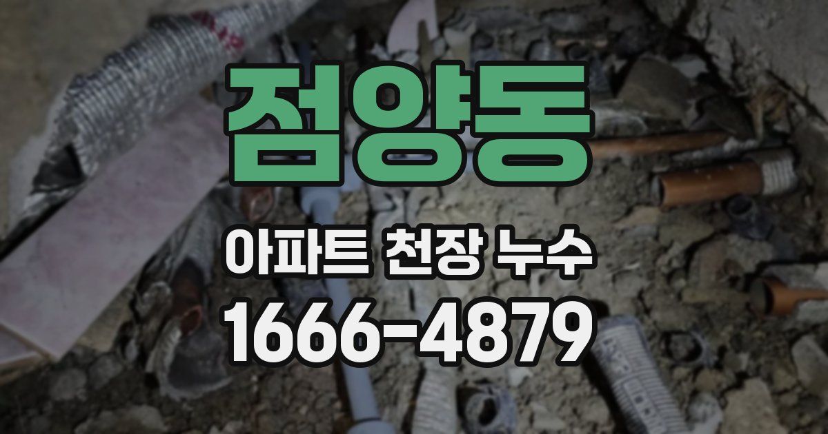점양동 아파트 천장 누수