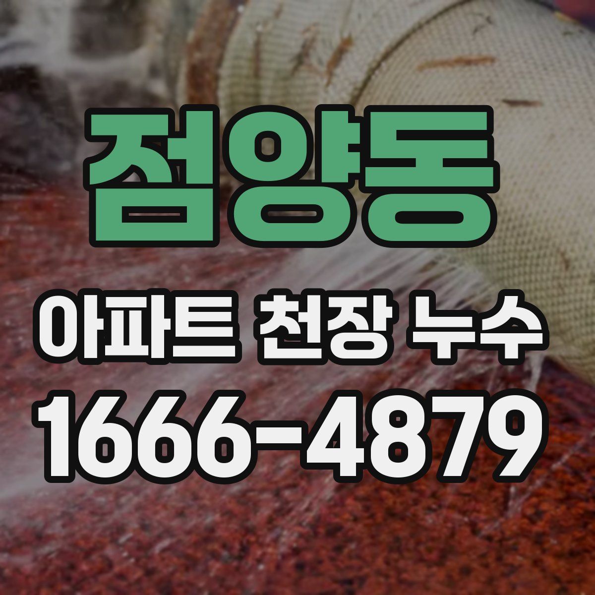 점양동 아파트 천장 누수