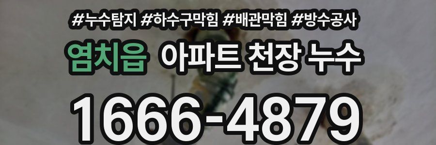 염치읍 아파트 천장 누수