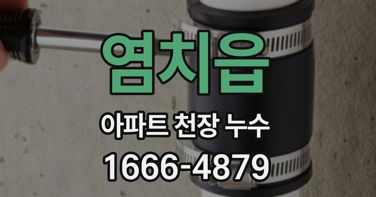 염치읍 아파트 천장 누수