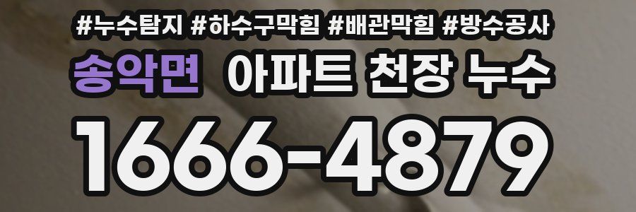 송악면 아파트 천장 누수