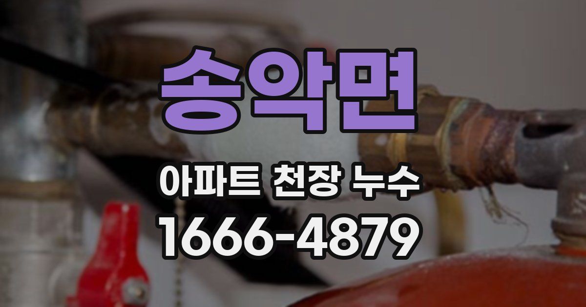 송악면 아파트 천장 누수