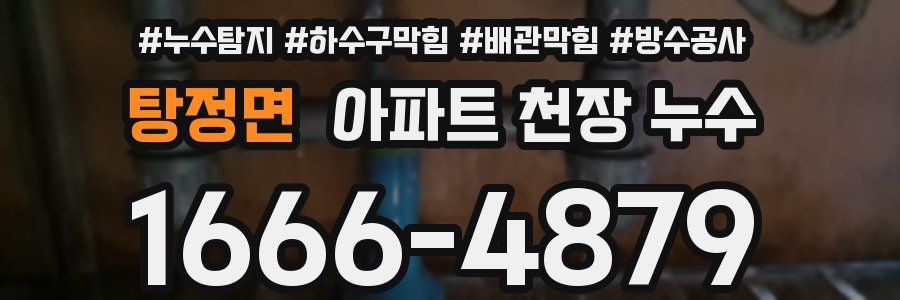 탕정면 아파트 천장 누수