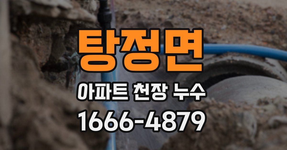 탕정면 아파트 천장 누수
