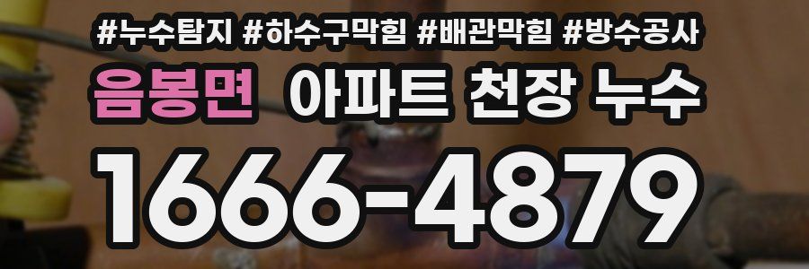 음봉면 아파트 천장 누수
