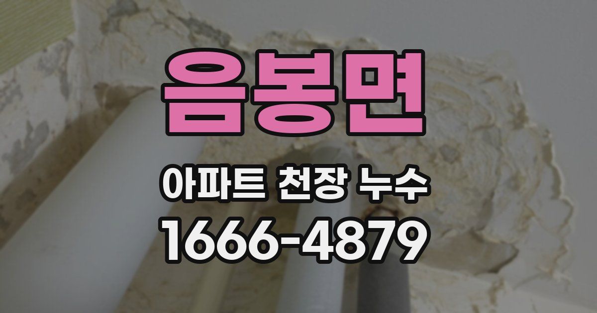 음봉면 아파트 천장 누수