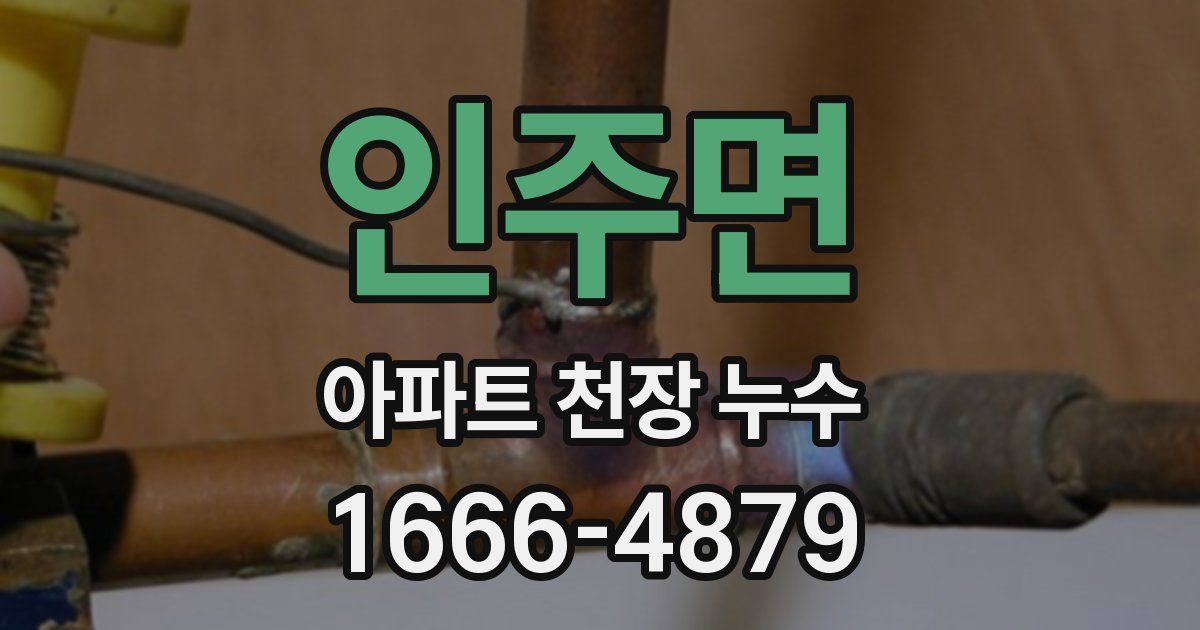 인주면 아파트 천장 누수