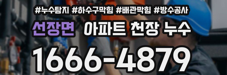 선장면 아파트 천장 누수