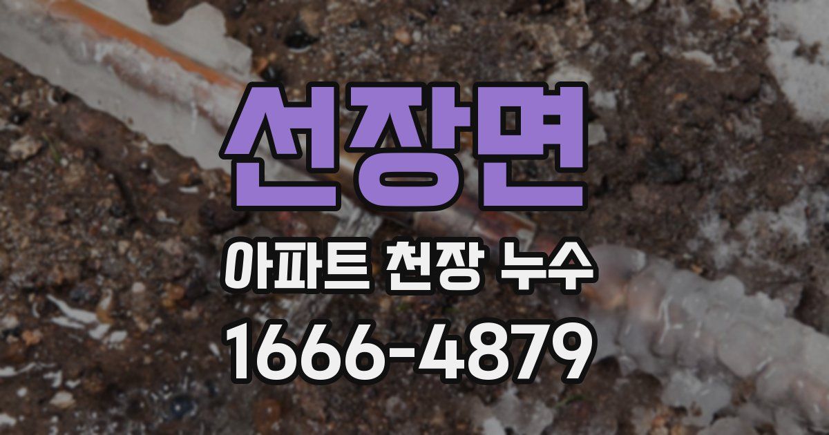 선장면 아파트 천장 누수