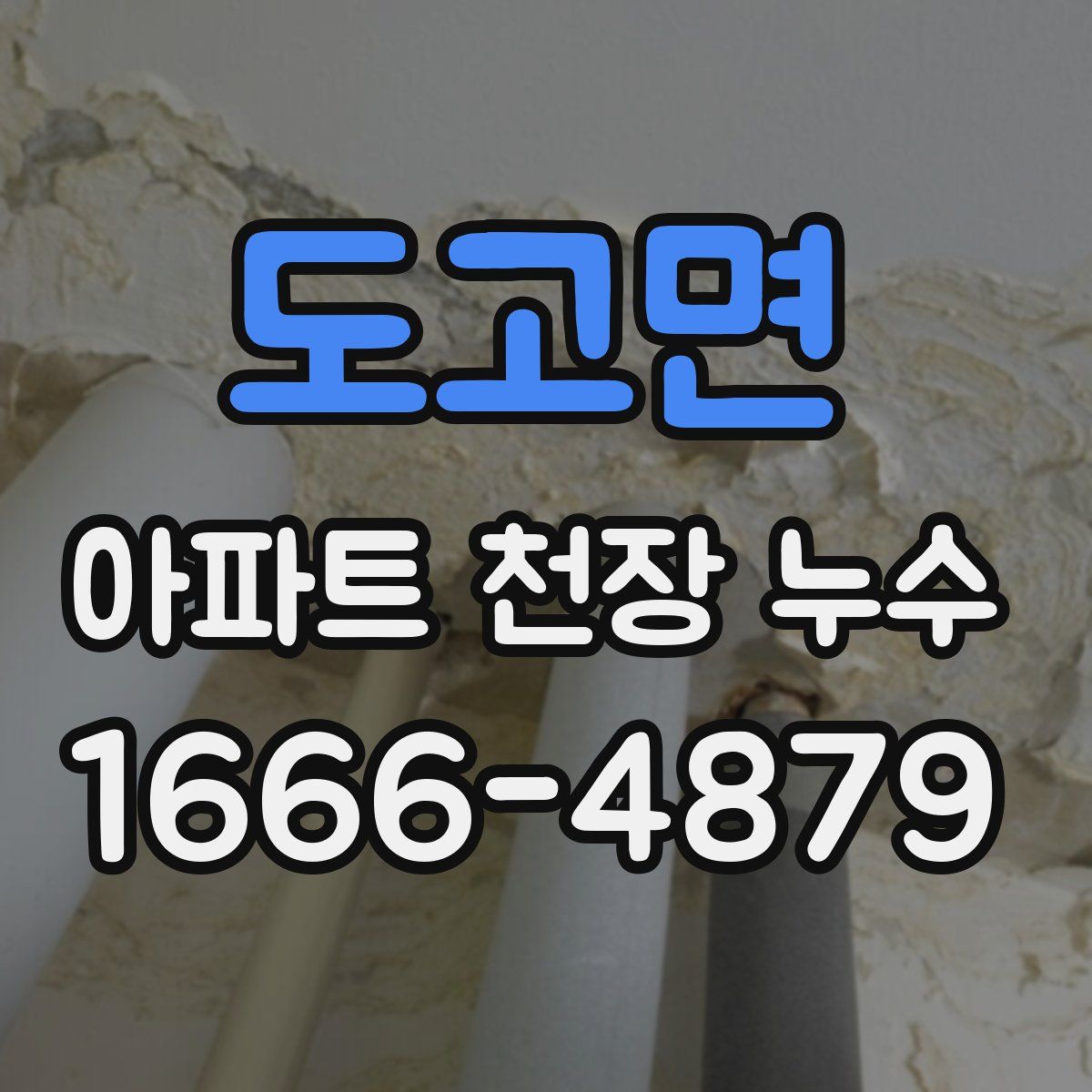 도고면 아파트 천장 누수