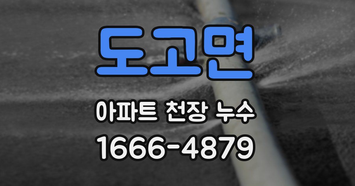 도고면 아파트 천장 누수