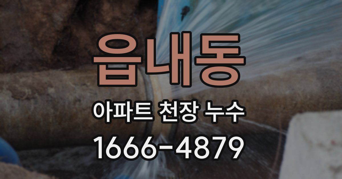 읍내동 아파트 천장 누수