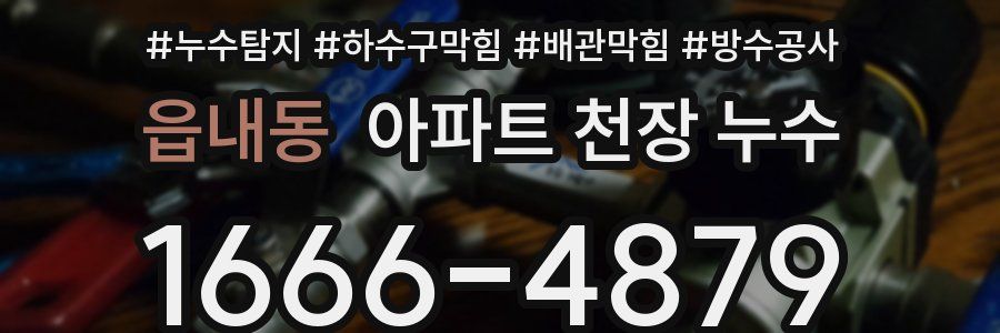 읍내동 아파트 천장 누수