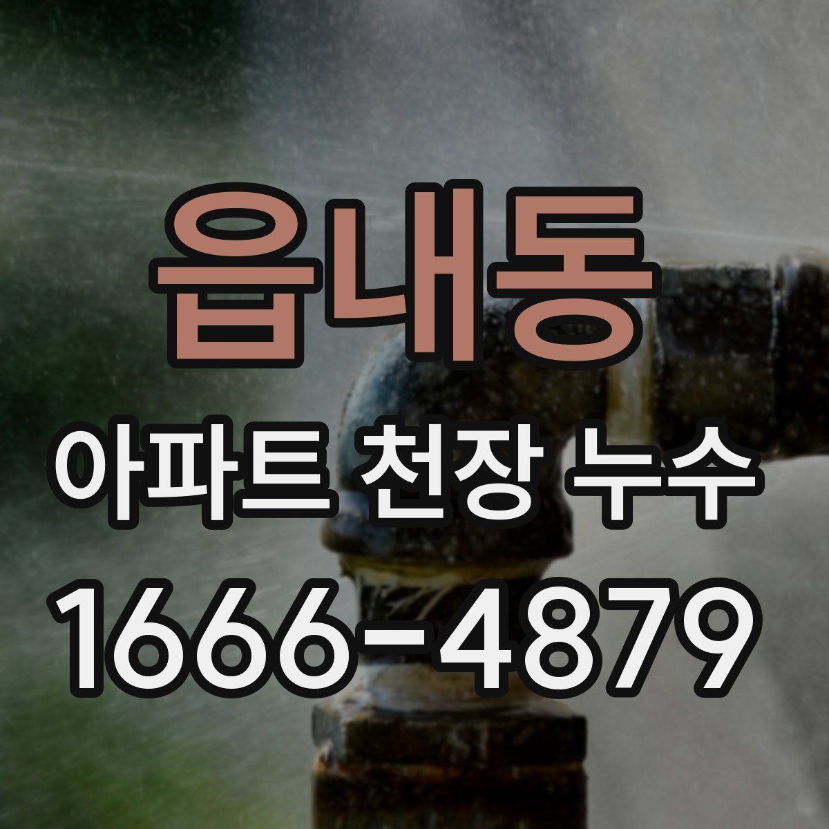 읍내동 아파트 천장 누수