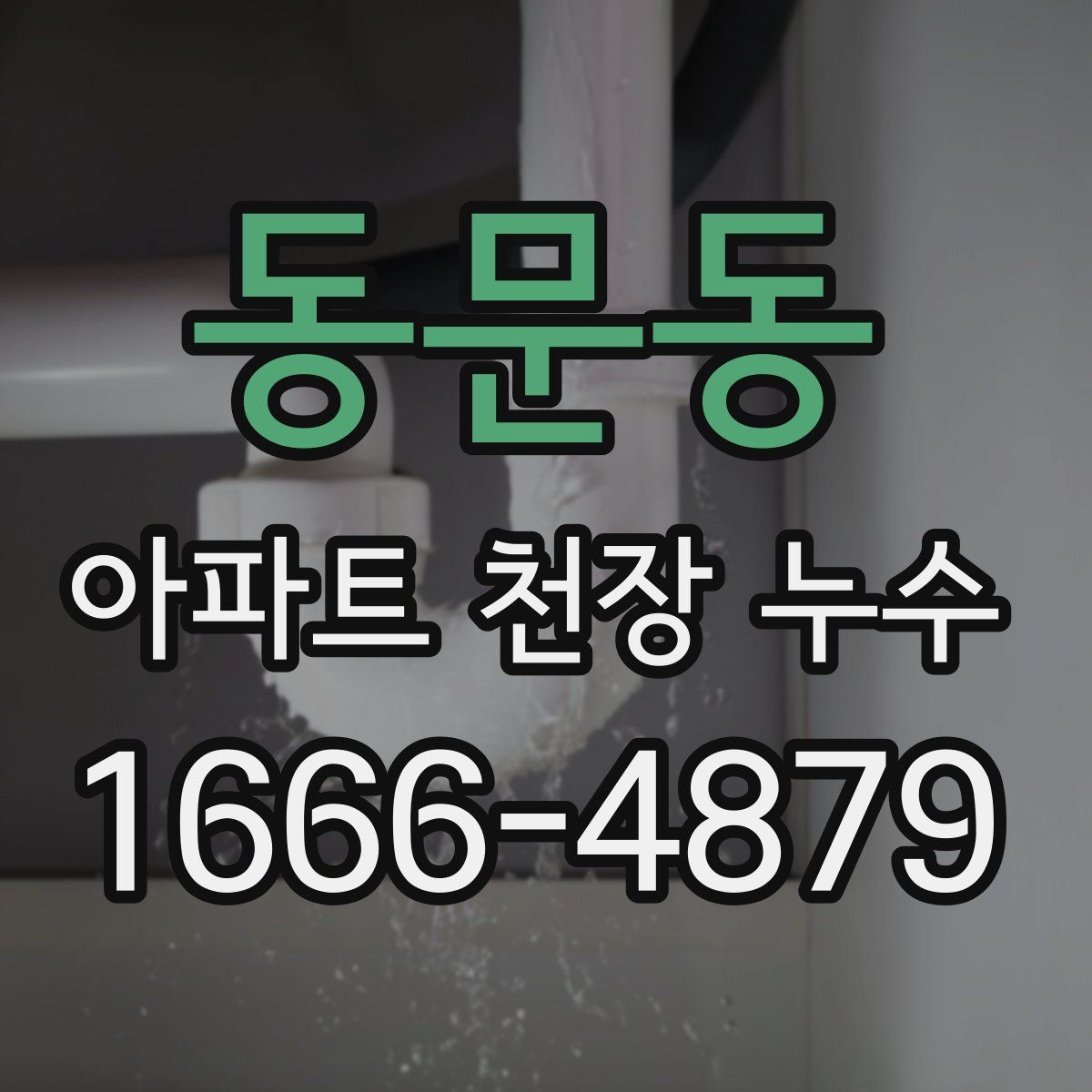 동문동 아파트 천장 누수