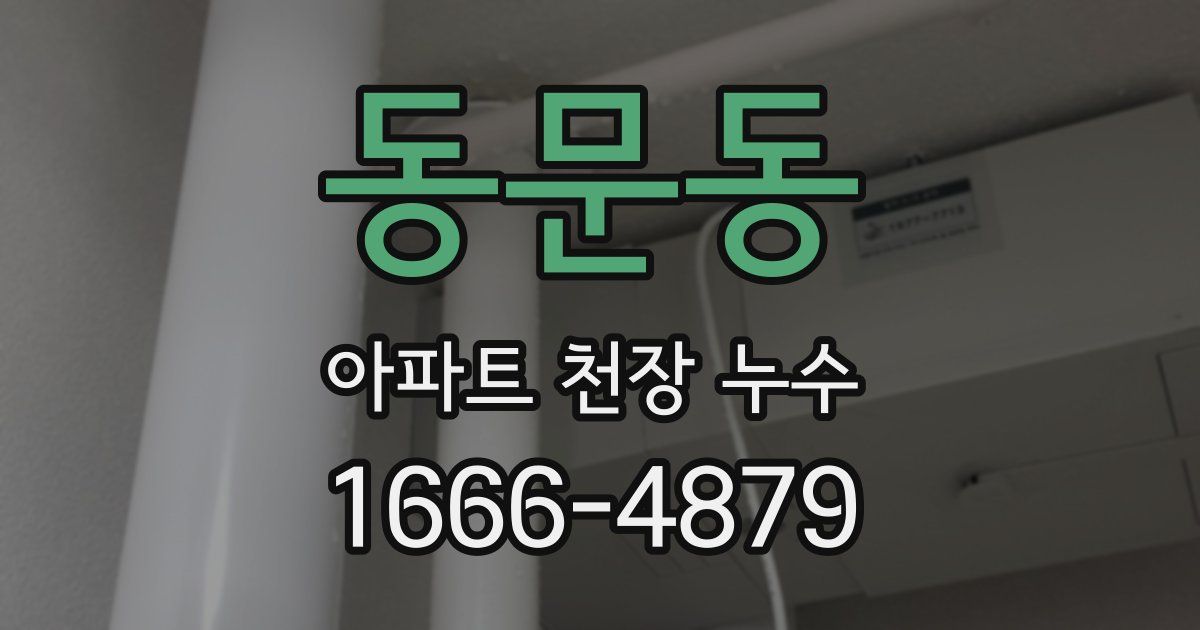 동문동 아파트 천장 누수