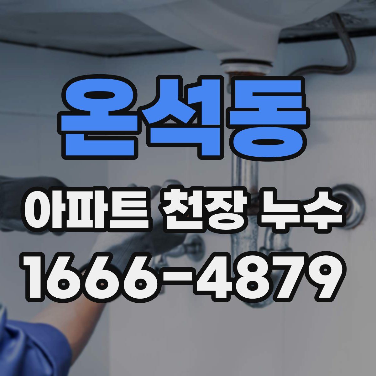 온석동 아파트 천장 누수