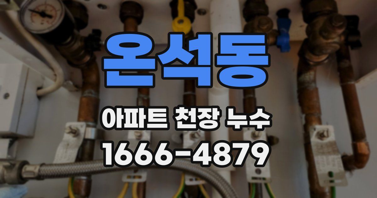 온석동 아파트 천장 누수